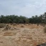 Wisata Perang: Tempat-tempat yang Pernah Jadi Medan Pertempuran Kini Jadi Objek Wisata